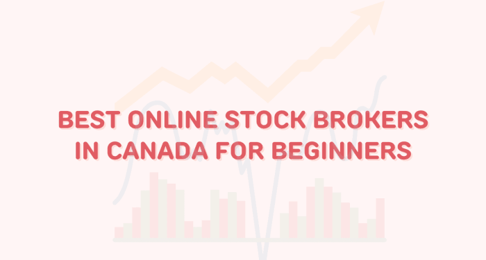 Comparing The 10 Best Online Stock Brokers - True Trader