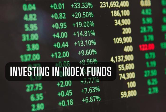 Investing in index funds: A beginner's guide Investing in index funds: A beginner's guide
